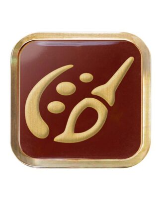 Final Fantasy XIV Job-Pin Pictomancer