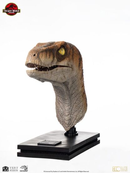 Jurassic Park Life-Size Büste Male Velociraptor 75 cm – Bild 7