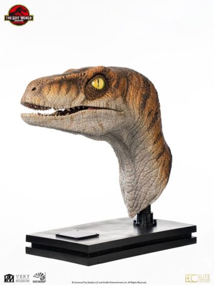 Jurassic Park Life-Size Büste Male Velociraptor 75 cm – Bild 15