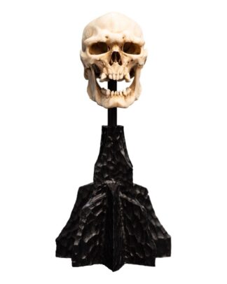Herr der Ringe Mini Statue Skull of a Mordor Orc 14 cm