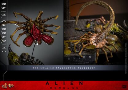 Alien: Romulus Movie Masterpiece Actionfigur 1/6 Rain Carradine 26 cm – Bild 20