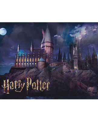 Harry Potter Puzzle Hogwarts (50 Teile)
