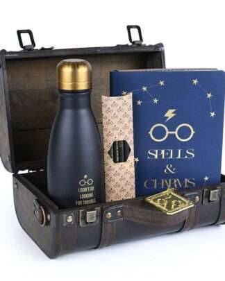 Harry Potter Geschenkbox Trouble Finds Me