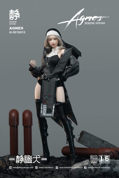 Original Character Actionfigur 1/6 Serene Hound "Agnes" 30 cm – Bild 5