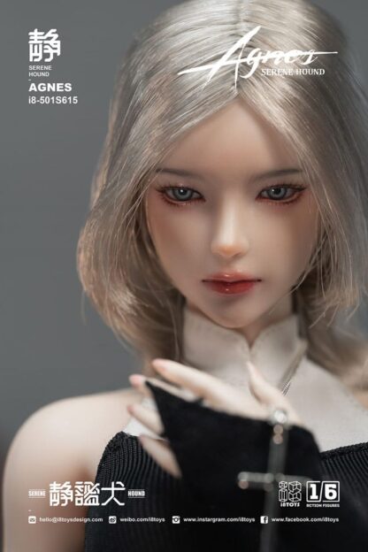 Original Character Actionfigur 1/6 Serene Hound "Agnes" 30 cm – Bild 9