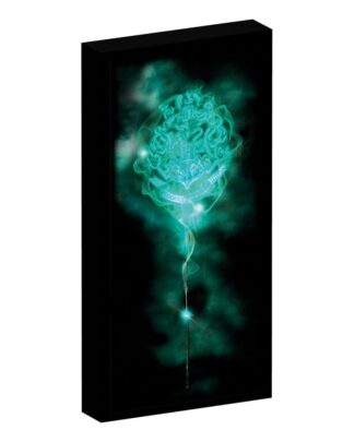 Harry Potter Canvas Poster (With Light)
