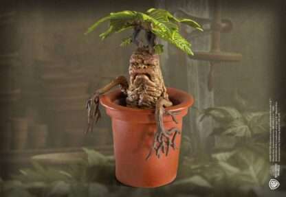 Harry Potter Magical Creatures Statue Mandrake 13 cm – Bild 4