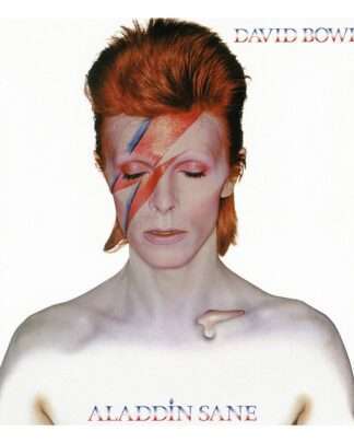 David Bowie Rock Saws Puzzle Aladdin Sane (500 Teile)