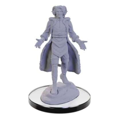 Critical Role Miniatur unbemalt Lucien Tavelle & Cree Deeproots – Bild 5