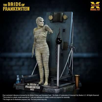 Frankensteins Braut Plastic Model Kit 1/8 Bride of Frankenstein 21 cm    - Beschädigte Verpackung – Bild 11