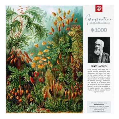 Ernst Haeckel Imagination Puzzle Muscinae (1000 Teile) – Bild 4