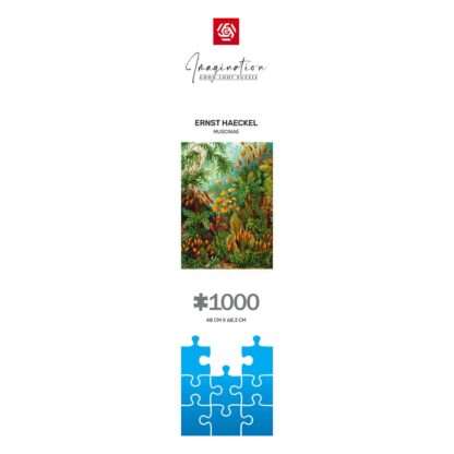 Ernst Haeckel Imagination Puzzle Muscinae (1000 Teile) – Bild 10