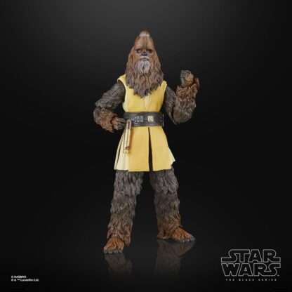 Star Wars: The Acolyte Black Series Actionfigur Jedi Master Kelnacca 15 cm - Beschädigte Verpackung – Bild 13