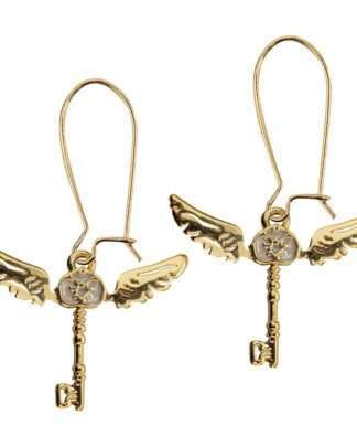 Harry Potter Ohrringe Winged Keys