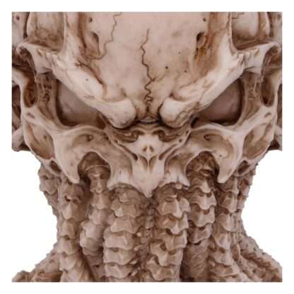 Cthulhu Figur Skull 20 cm – Bild 5