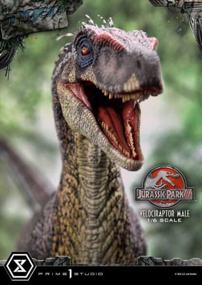 Jurassic Park III Legacy Museum Collection Statue 1/6 Velociraptor Male Bonus Version 40 cm – Bild 6
