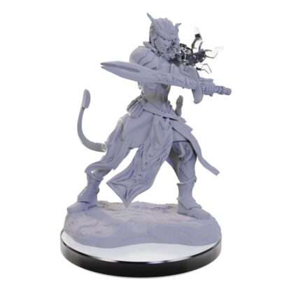 D&D Nolzur's Marvelous Miniatures Miniatur unbemalt Tiefling Warlocks – Bild 3