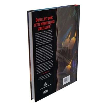 Dungeons & Dragons RPG Le Chaudron des Merveilles de Tasha französisch – Bild 8