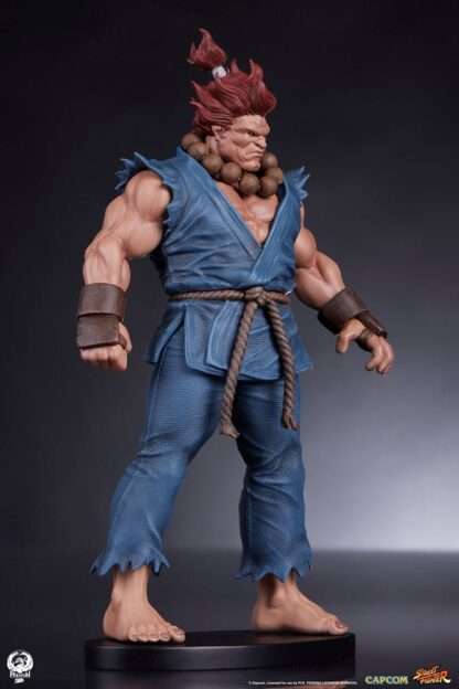 Street Fighter PVC Statuen 1/10 Akuma & Dhalsim 21 cm – Bild 10