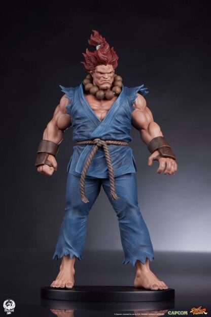 Street Fighter PVC Statuen 1/10 Akuma & Dhalsim 21 cm – Bild 11