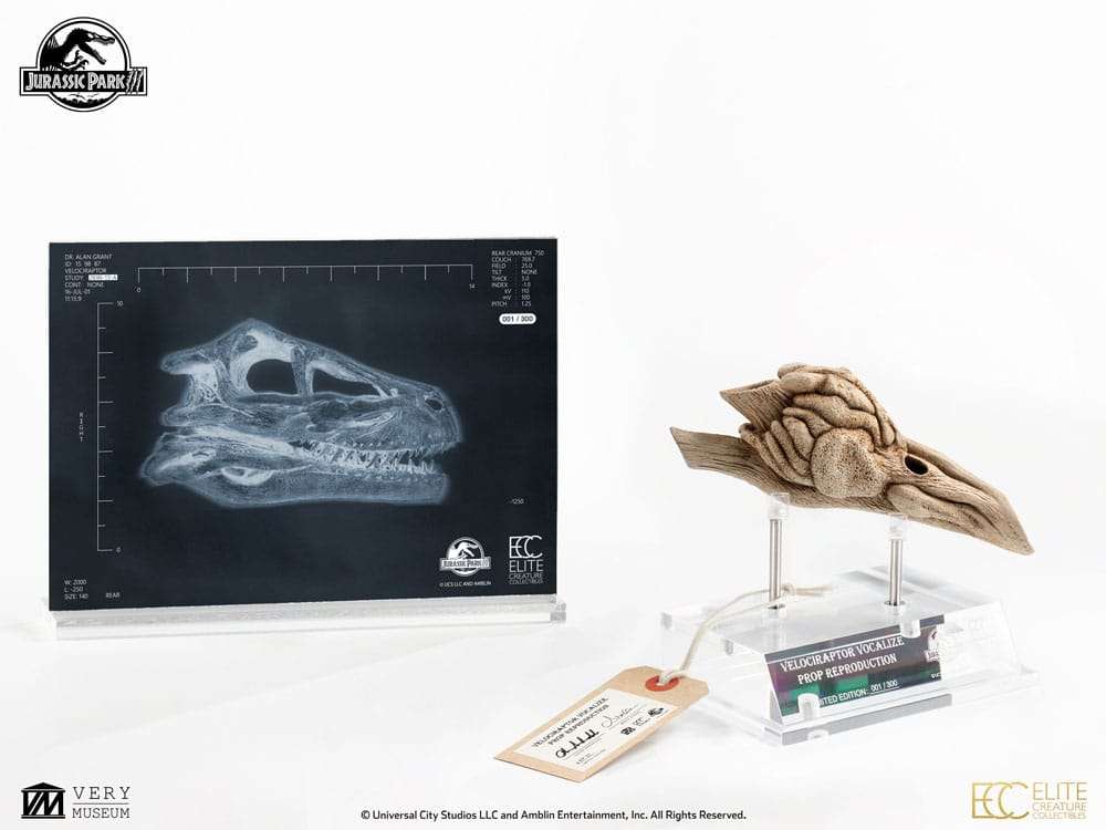 Jurassic Park III Prop Replik 1/1 Velociraptor Resonance Chamber 18 cm – Bild 10