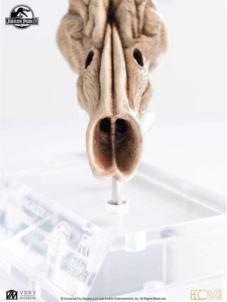 Jurassic Park III Prop Replik 1/1 Velociraptor Resonance Chamber 18 cm – Bild 12