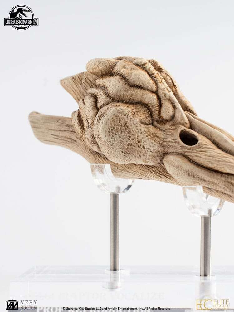 Jurassic Park III Prop Replik 1/1 Velociraptor Resonance Chamber 18 cm – Bild 14