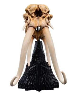 Herr der Ringe Mini Statue Skull of a Mumak 15 cm