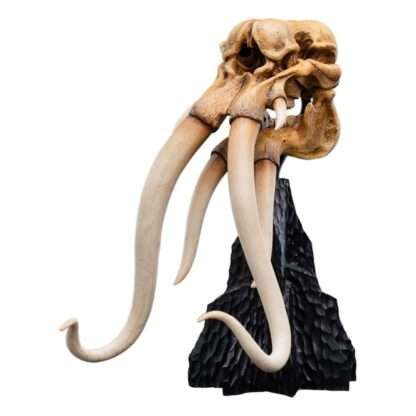 Herr der Ringe Mini Statue Skull of a Mumak 15 cm – Bild 12