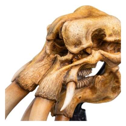 Herr der Ringe Mini Statue Skull of a Mumak 15 cm – Bild 13