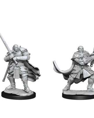 D&D Nolzur's Marvelous Miniatures Miniaturen unbemalt Half-Orc Paladin Male Umkarton (2)