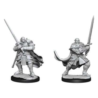D&D Nolzur's Marvelous Miniatures Miniaturen unbemalt Half-Orc Paladin Male Umkarton (2)
