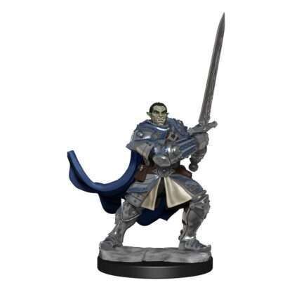D&D Nolzur's Marvelous Miniatures Miniaturen unbemalt Half-Orc Paladin Male Umkarton (2) – Bild 2
