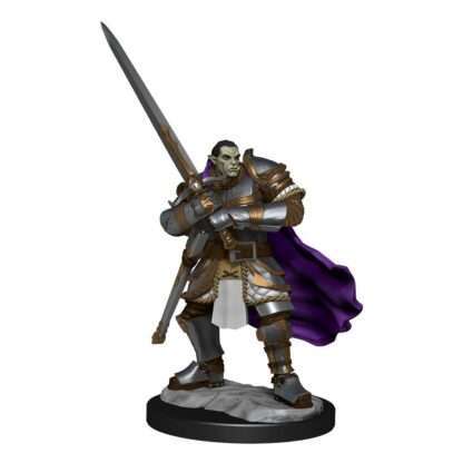 D&D Nolzur's Marvelous Miniatures Miniaturen unbemalt Half-Orc Paladin Male Umkarton (2) – Bild 3
