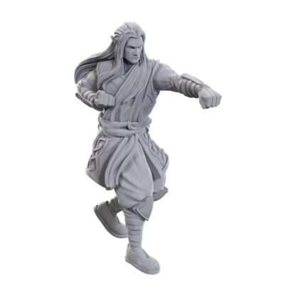 D&D Nolzur's Marvelous Miniatures Miniaturen unbemalt 2er-Pack Archdruid & Martial Arts Adept – Bild 5