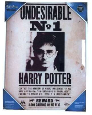 Harry Potter Glasposter Undesirable No. 1 30 x 40 cm