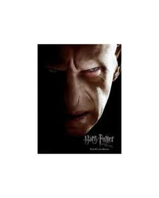Harry Potter Glasposter Voldemort 30 x 40 cm