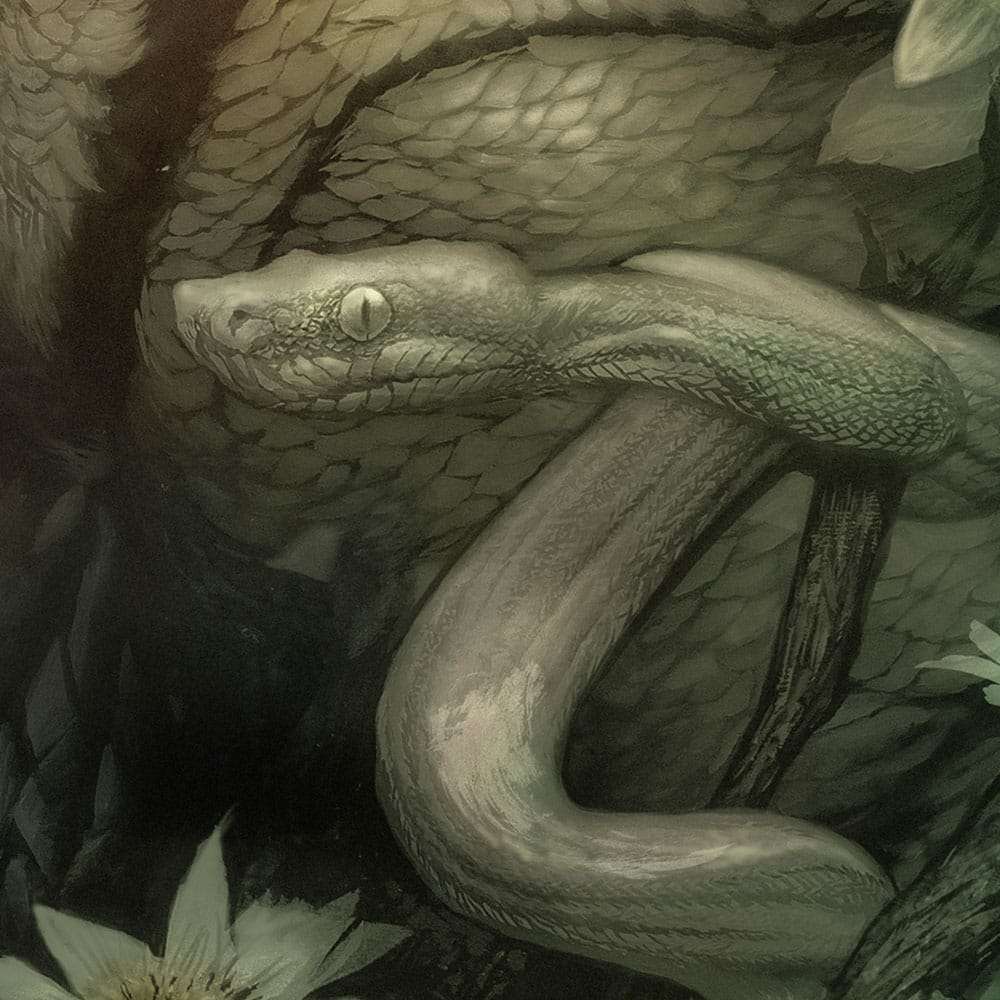 Der Schrecken vom Amazonas Kunstdruck Creature from the Black Lagoon by Dan Quintana 61 x 41 cm - ungerahmt – Bild 4