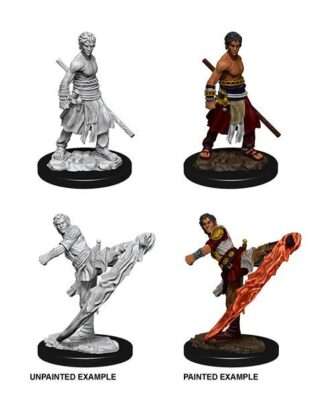 D&D Nolzur's Marvelous Miniatures Miniaturen unbemalt Male Half-Elf Monk Umkarton (6)