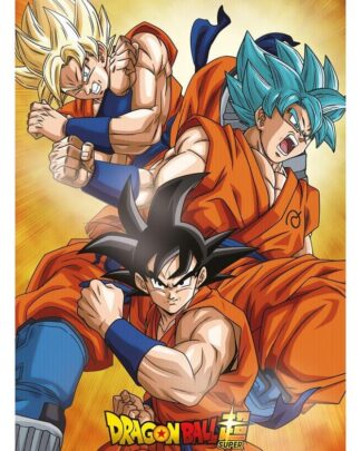 Dragon Ball Super 3D Poster Champa Goku 38 x 58 cm