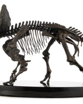 Jurassic World ECC Elite Creature Line Statue 1/12 Triceratops Fossil Skeleton Bronze 33 cm