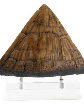 Jurassic Park Statue Triceratops Spike Prop (Reproduction) 19 cm