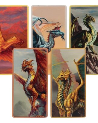 Dungeons & Dragons Magneten 5er-Set