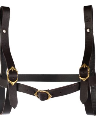 Dungeons & Dragons Buchträger Wizard Brown