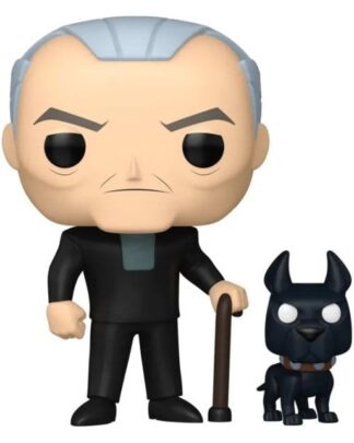 Batman of the Future Pop! Heroes Vinyl Figur Bruce Wayne & Ace Exclusive 9 cm