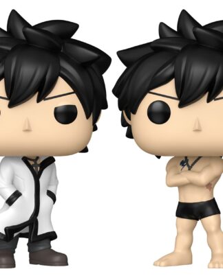 Fairy Tail 100 Year Quest POP! Animation Vinyl Figuren Gray w/Chase 9 cm Sortiment (6)