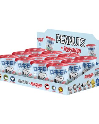 Peanuts + Rokimoto Blind Box Figuren 10 cm Display (12)