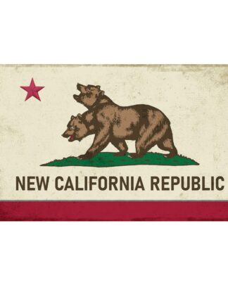 Fallout Canvas Banner NCR