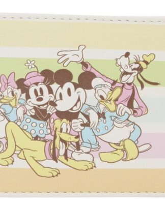 Disney by Loungefly Karten-Etui Mickey and Friends Rainbow Stripes