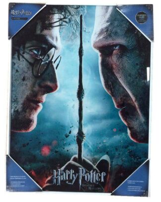 Harry Potter Glasposter Harry & Voldemort 30 x 40 cm